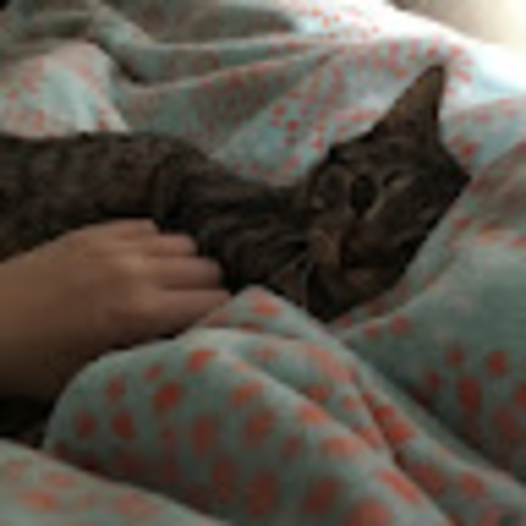 Meet your Posher, Brittany - Picture 1 of 1